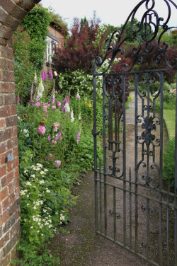 theladyintweed:  A walled garden, EnglandPhoto by Phyllis Trevor