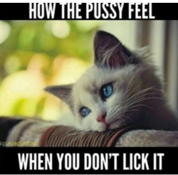 casualrebel15:  Don’t have the pussy sad always lick it before