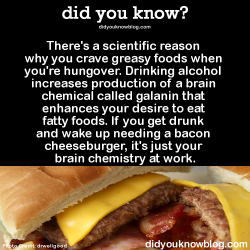 did-you-kno:There’s a scientific reason why you crave greasy