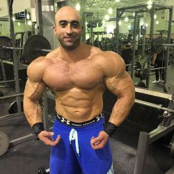 drwannabebigger:  Mike Nicosia