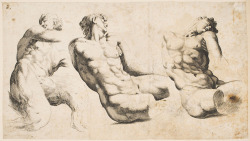 didoofcarthage: Three Studies of Twisted Male Torsos from Roman