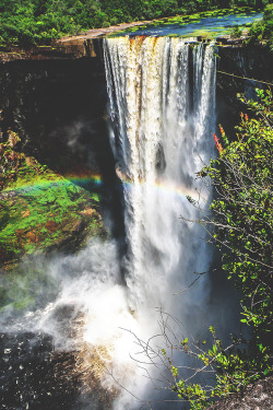 travel-as-a-happy-hippie:  plasmatics-life:  Kaiteur Waterfall,