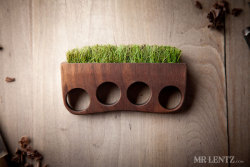 f-l-e-u-r-d-e-l-y-s:  Hand made wood and grass mini planter jewelry