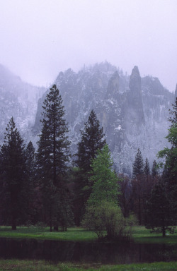 cervid:  Yosemite Valley_1989 (by cc-2412) 