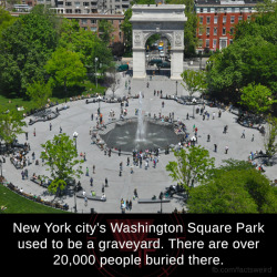 mindblowingfactz:   New York city’s Washington Square Park
