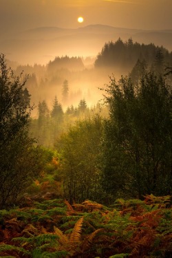 sublim-ature:  Duke’s Pass, ScotlandDavid Mould 