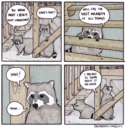 falseknees:I don’t understand how raccoons have time to think