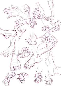 orsob:  some hands and feet practice sketches, used this site