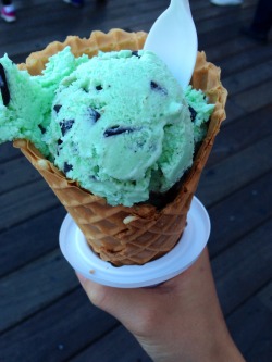 trustmental:  mint chocolate chip ice cream from Dreyer’s