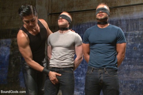 Are you a happy cow or a sad cow?For this live show we have Brock Avery and Damien Moreau submitting to Trenton Ducati alongside Van Darkholme. Brock and Damien are bound and blindfolded, trying to get their clothes off while Van beats them with the crop.
