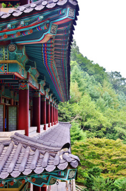 lovesouthkorea:Guinsa by allanyeates