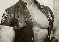 Muscle cop reveals his huge nipples.  For more gay nippleplay,