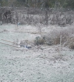 dharuadhmacha:First snow of the year….I’m not ready for this