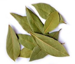 lunar-moonbow:BayBay leaves are a mysterious ingredient for soups