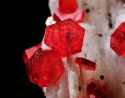 geologypage:  Vanadinite on Baryte | #Geology #GeologyPage #Mineral