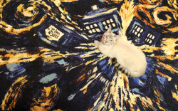 identityfox:  We put down our new exploding TARDIS carpet today