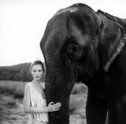  Kate Moss in “Simply Devine”, photographed by Arthur Elgort