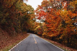 his-desert-rose: // roads of autumn glory