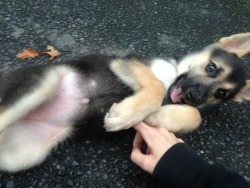 lifebender:  Tummy rubs for the baby.  She still has a leaf stuck