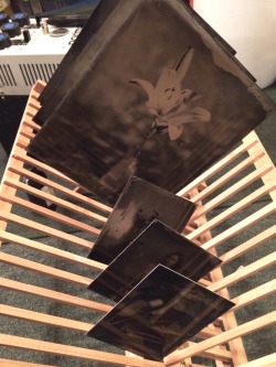 brookelabrie:  8 X 10 WETPLATES OMG GUYS ITS FINALLY HAPPENING