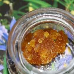 pouchapalooza:Let’s dab! ✨🍁