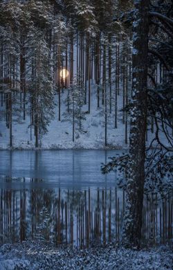 afaerytalelife:Winter Moonrise, by Asko Kuittinen.