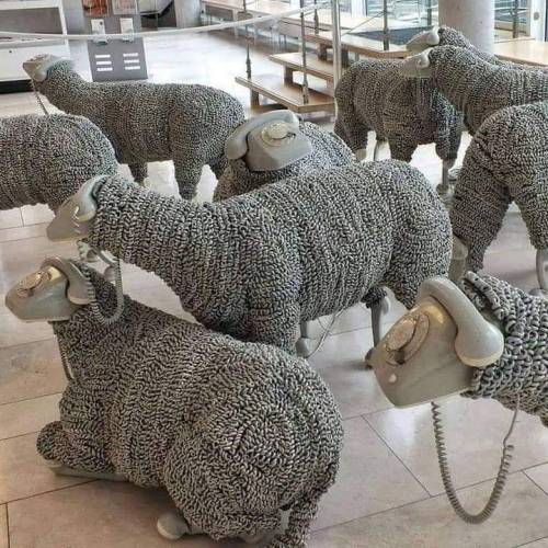 junk-disorderly:  Telephone Sheep by Jean Luc Cornec
