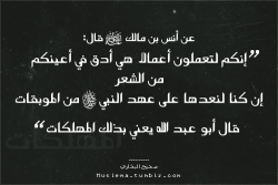 islamic-art-and-quotes:  Anas bin Malik on ‘Small’ Sins عن