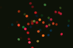 conserva-tus-colores:  conserva-tus-colores:  Luces Navideñas