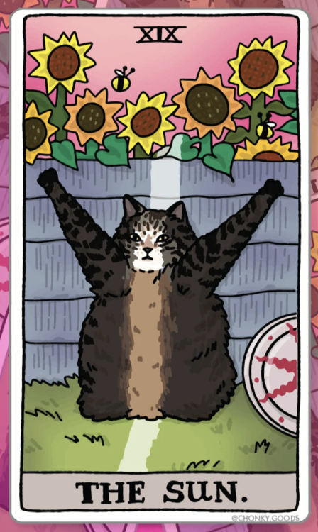 catsbeaversandducks:Tarot Cats Chonky Goods by Ping Hatta Studio