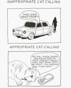 femalerolemodel:  Cat Calling 