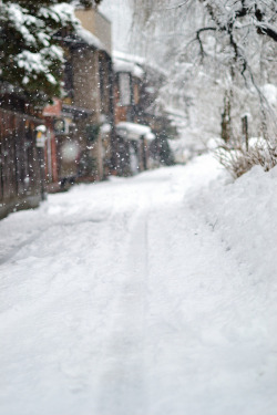 earthdaily:  雪道・a snowy way (By yukkbie)