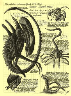 yautjalife:  “Alien Life Cycle, Da Vinci Style”Art by Elkin