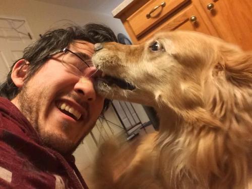 spvro:  Markiplier ft. Dogs: A Masterpost 