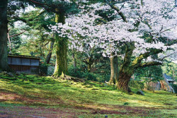 yukku-ri:  Kanazawa Ishikawa Japan by ogino.taro on Flickr. 