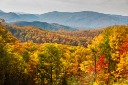 theencompassingworld:  about-usa:  Great Smoky Mountains National