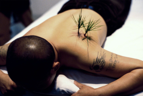 tom-isaacs:  Planting Grass - Yang Zhichao  In his piece Hide