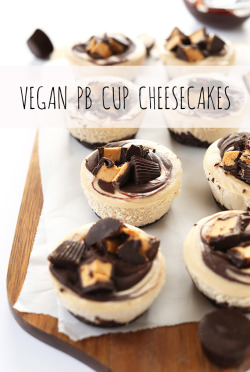 veganfoody:  Peanut Butter Cup Cheesecake