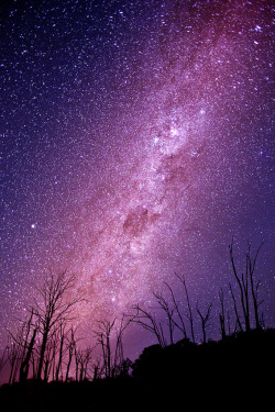 drxgonfly:  The Beautiful Milky Way 1 (by Andrew Tallon)