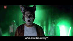 holdmyfeels:  Ylvis asks the real questions. 