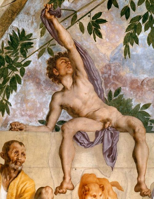 beyond-the-pale:   Jacopo Pontormo - Vertumnus and Pomona (detail)