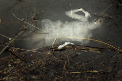 sad-house-of-mortality:Stephen Carrol FotoFiction - morbid fascination