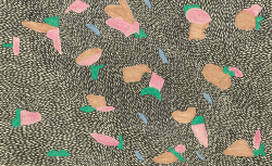 caitlinfoster:  Quaristice, 2015 