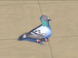 an-eel:i love this low poly pigeon 