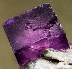 sixpenceee:  Photographs of violet fluorite. It is thought to