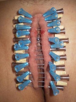 pussymodsgaloreBDSM pain games, needle play. Outer labia pierced