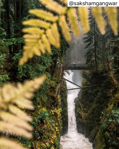 visitportangeles:  “The Sol Duc River represents such an array