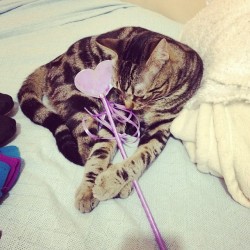 #love #kitty #wand