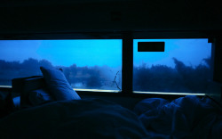 melisica:  (by d i a n) 