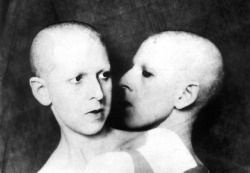 illinear:  Claude Cahun